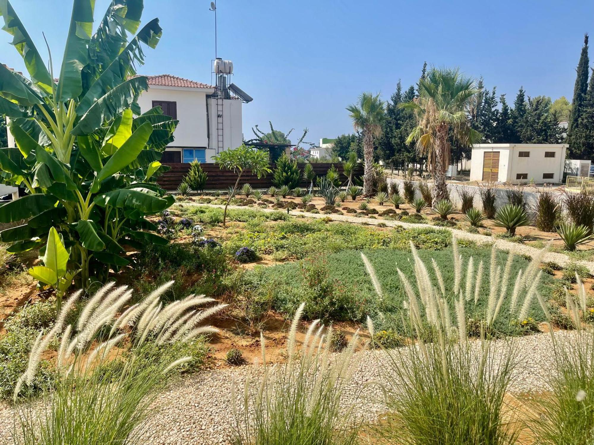 Sea View Suites By The Coast Famagusta  Bagian luar foto